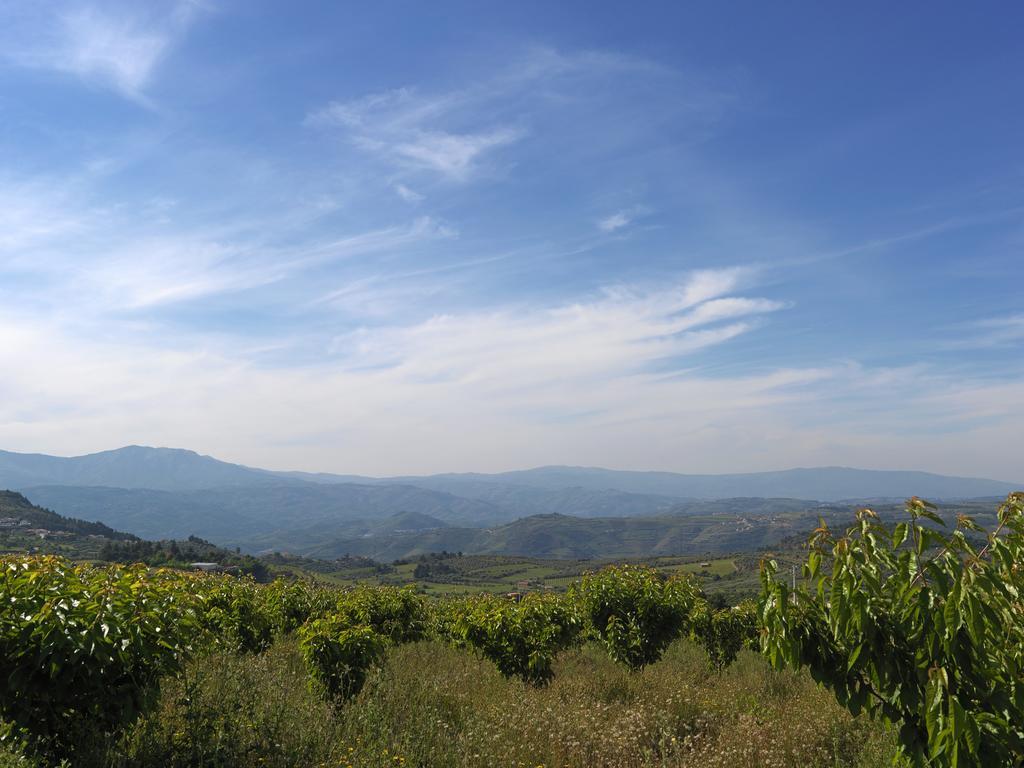 Vila Quinta Da Pereira Armamar Exteriér fotografie